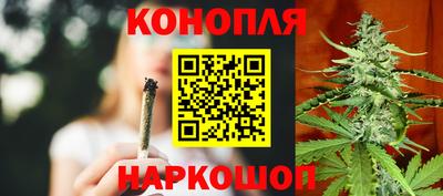 спайс Гай