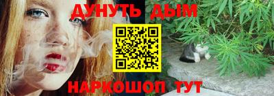 спайс Гай